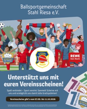 Gemeinsam für die BSG Stahl Riesa – unterstützt uns mit euren Vereinsscheinen!